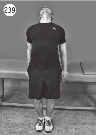 Иллюстрация к книге — Позвоночник без боли. Курс изометрической гимнастики [i_251.jpg]