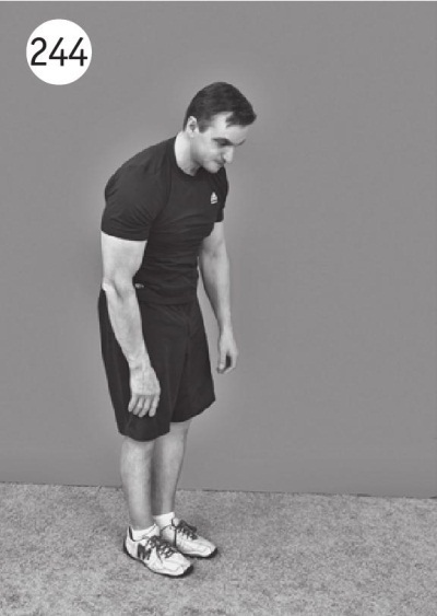 Иллюстрация к книге — Позвоночник без боли. Курс изометрической гимнастики [i_256.jpg]