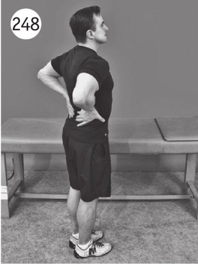 Иллюстрация к книге — Позвоночник без боли. Курс изометрической гимнастики [i_260.jpg]