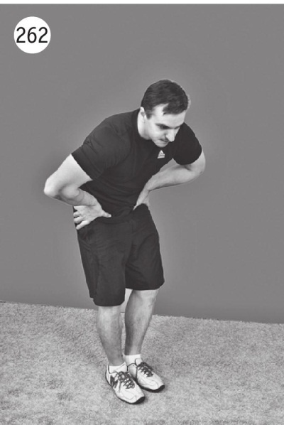 Иллюстрация к книге — Позвоночник без боли. Курс изометрической гимнастики [i_274.jpg]