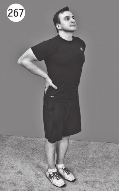 Иллюстрация к книге — Позвоночник без боли. Курс изометрической гимнастики [i_279.jpg]