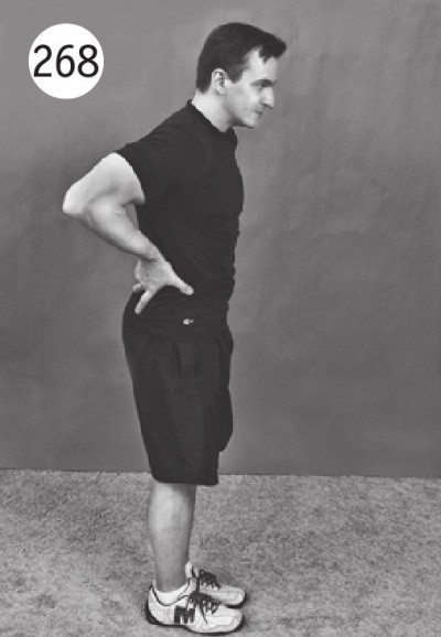 Иллюстрация к книге — Позвоночник без боли. Курс изометрической гимнастики [i_280.jpg]