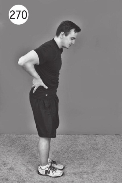 Иллюстрация к книге — Позвоночник без боли. Курс изометрической гимнастики [i_282.jpg]