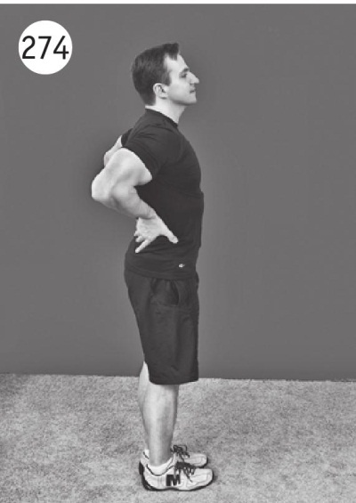 Иллюстрация к книге — Позвоночник без боли. Курс изометрической гимнастики [i_286.jpg]