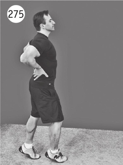 Иллюстрация к книге — Позвоночник без боли. Курс изометрической гимнастики [i_287.jpg]