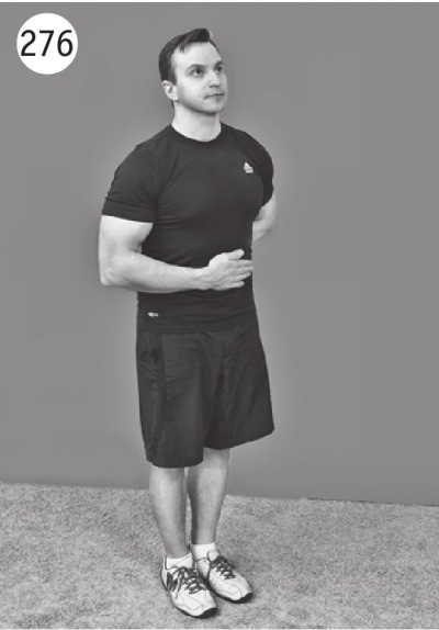 Иллюстрация к книге — Позвоночник без боли. Курс изометрической гимнастики [i_288.jpg]