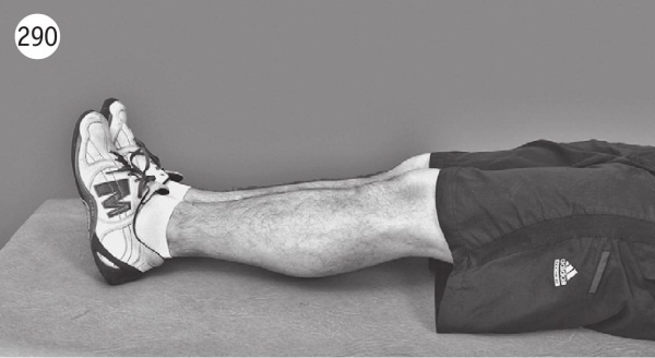 Иллюстрация к книге — Позвоночник без боли. Курс изометрической гимнастики [i_302.jpg]