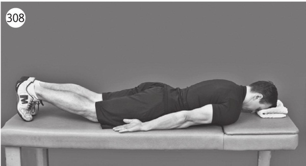 Иллюстрация к книге — Позвоночник без боли. Курс изометрической гимнастики [i_320.jpg]