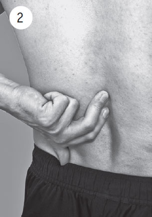 Иллюстрация к книге — Поясница без боли. Уникальный изометрический тренинг [i_015.jpg]