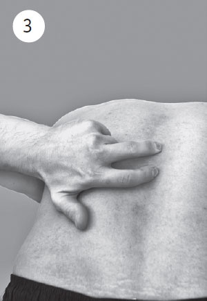 Иллюстрация к книге — Поясница без боли. Уникальный изометрический тренинг [i_016.jpg]