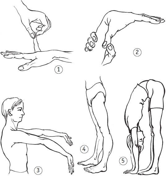 Иллюстрация к книге — Поясница без боли. Уникальный изометрический тренинг [i_017.jpg]