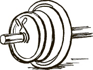 Иллюстрация к книге — Поясница без боли. Уникальный изометрический тренинг [i_043.jpg]