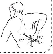 Иллюстрация к книге — Система "Живая осанка". Уникальный курс постановки осанки за 30 дней [Autogen_eBook_id100.jpg]