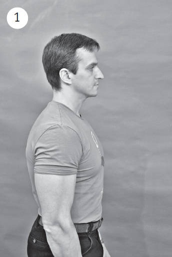 Иллюстрация к книге — Система "Живая осанка". Уникальный курс постановки осанки за 30 дней [Autogen_eBook_id114.jpg]