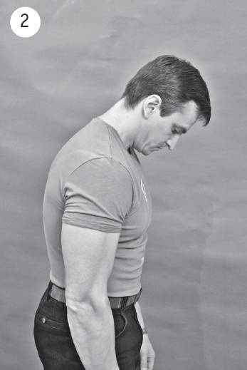 Иллюстрация к книге — Система "Живая осанка". Уникальный курс постановки осанки за 30 дней [Autogen_eBook_id115.jpg]