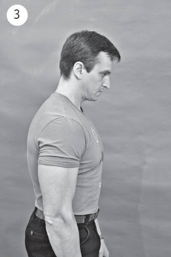 Иллюстрация к книге — Система "Живая осанка". Уникальный курс постановки осанки за 30 дней [Autogen_eBook_id116.jpg]