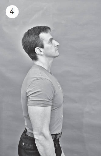 Иллюстрация к книге — Система "Живая осанка". Уникальный курс постановки осанки за 30 дней [Autogen_eBook_id117.jpg]