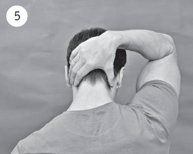 Иллюстрация к книге — Система "Живая осанка". Уникальный курс постановки осанки за 30 дней [Autogen_eBook_id118.jpg]