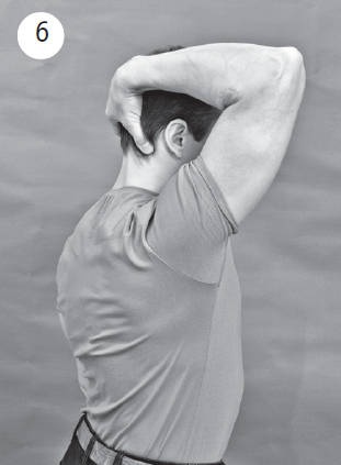 Иллюстрация к книге — Система "Живая осанка". Уникальный курс постановки осанки за 30 дней [Autogen_eBook_id119.jpg]