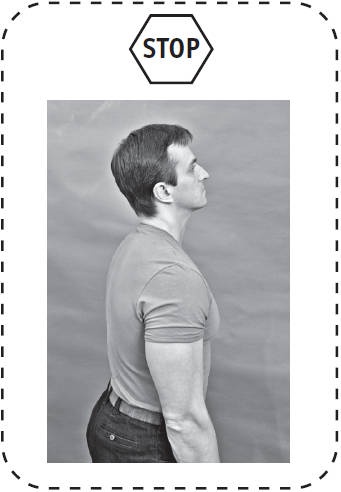 Иллюстрация к книге — Система "Живая осанка". Уникальный курс постановки осанки за 30 дней [Autogen_eBook_id120.jpg]