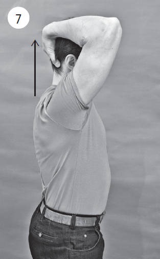 Иллюстрация к книге — Система "Живая осанка". Уникальный курс постановки осанки за 30 дней [Autogen_eBook_id121.jpg]