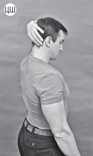 Иллюстрация к книге — Система "Живая осанка". Уникальный курс постановки осанки за 30 дней [Autogen_eBook_id126.jpg]