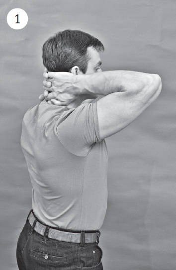 Иллюстрация к книге — Система "Живая осанка". Уникальный курс постановки осанки за 30 дней [Autogen_eBook_id127.jpg]