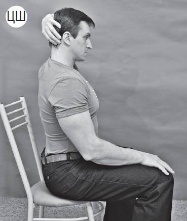 Иллюстрация к книге — Система "Живая осанка". Уникальный курс постановки осанки за 30 дней [Autogen_eBook_id135.jpg]