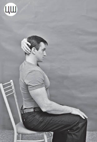 Иллюстрация к книге — Система "Живая осанка". Уникальный курс постановки осанки за 30 дней [Autogen_eBook_id145.jpg]