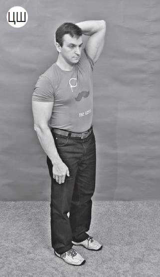 Иллюстрация к книге — Система "Живая осанка". Уникальный курс постановки осанки за 30 дней [Autogen_eBook_id149.jpg]