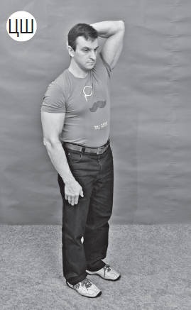 Иллюстрация к книге — Система "Живая осанка". Уникальный курс постановки осанки за 30 дней [Autogen_eBook_id153.jpg]