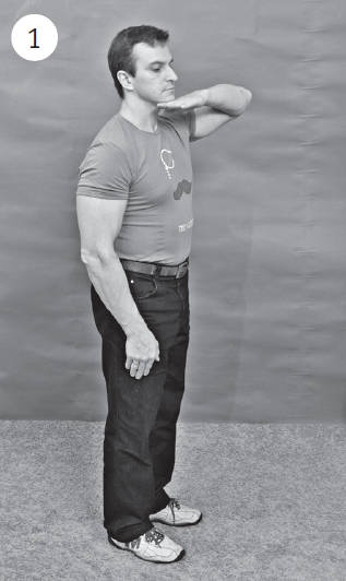 Иллюстрация к книге — Система "Живая осанка". Уникальный курс постановки осанки за 30 дней [Autogen_eBook_id154.jpg]