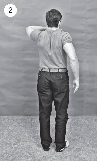 Иллюстрация к книге — Система "Живая осанка". Уникальный курс постановки осанки за 30 дней [Autogen_eBook_id155.jpg]