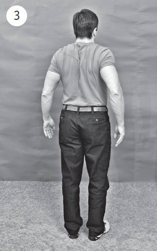 Иллюстрация к книге — Система "Живая осанка". Уникальный курс постановки осанки за 30 дней [Autogen_eBook_id156.jpg]