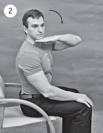 Иллюстрация к книге — Система "Живая осанка". Уникальный курс постановки осанки за 30 дней [Autogen_eBook_id163.jpg]