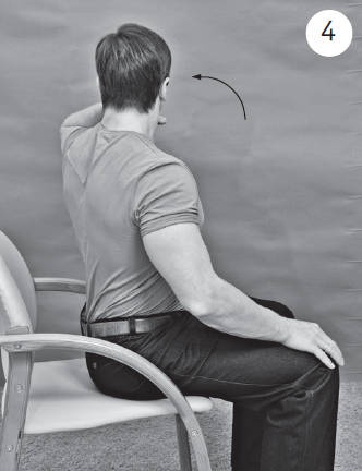 Иллюстрация к книге — Система "Живая осанка". Уникальный курс постановки осанки за 30 дней [Autogen_eBook_id164.jpg]