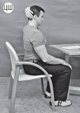 Иллюстрация к книге — Система "Живая осанка". Уникальный курс постановки осанки за 30 дней [Autogen_eBook_id167.jpg]