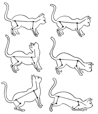 Иллюстрация к книге — Система "Живая осанка". Уникальный курс постановки осанки за 30 дней [Autogen_eBook_id17.jpg]