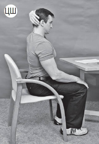 Иллюстрация к книге — Система "Живая осанка". Уникальный курс постановки осанки за 30 дней [Autogen_eBook_id171.jpg]