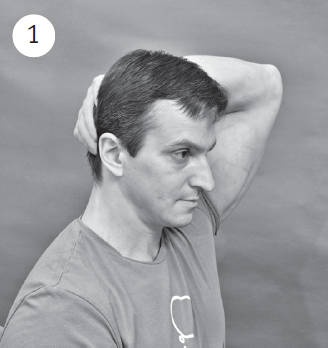 Иллюстрация к книге — Система "Живая осанка". Уникальный курс постановки осанки за 30 дней [Autogen_eBook_id172.jpg]