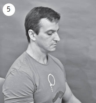 Иллюстрация к книге — Система "Живая осанка". Уникальный курс постановки осанки за 30 дней [Autogen_eBook_id176.jpg]