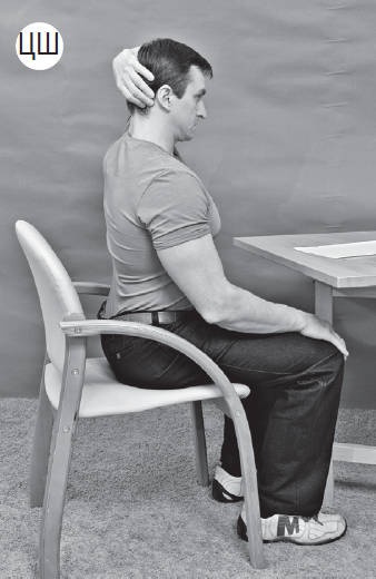 Иллюстрация к книге — Система "Живая осанка". Уникальный курс постановки осанки за 30 дней [Autogen_eBook_id177.jpg]