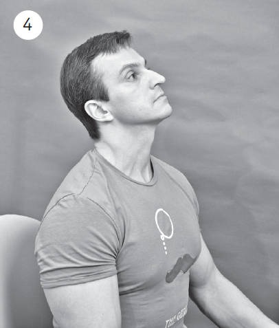 Иллюстрация к книге — Система "Живая осанка". Уникальный курс постановки осанки за 30 дней [Autogen_eBook_id181.jpg]