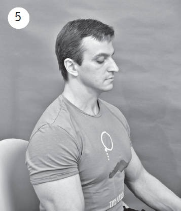 Иллюстрация к книге — Система "Живая осанка". Уникальный курс постановки осанки за 30 дней [Autogen_eBook_id182.jpg]