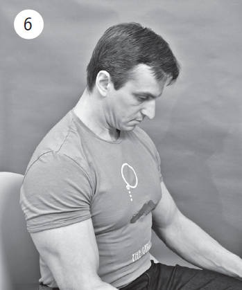 Иллюстрация к книге — Система "Живая осанка". Уникальный курс постановки осанки за 30 дней [Autogen_eBook_id183.jpg]