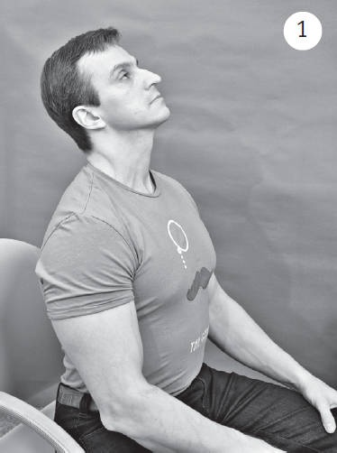 Иллюстрация к книге — Система "Живая осанка". Уникальный курс постановки осанки за 30 дней [Autogen_eBook_id186.jpg]