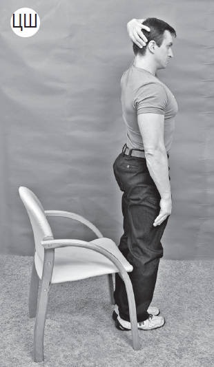 Иллюстрация к книге — Система "Живая осанка". Уникальный курс постановки осанки за 30 дней [Autogen_eBook_id192.jpg]