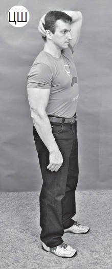 Иллюстрация к книге — Система "Живая осанка". Уникальный курс постановки осанки за 30 дней [Autogen_eBook_id195.jpg]