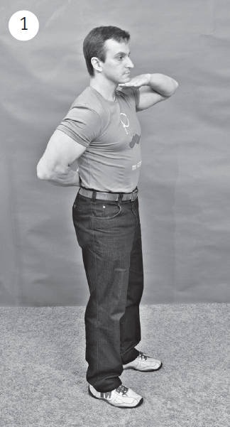 Иллюстрация к книге — Система "Живая осанка". Уникальный курс постановки осанки за 30 дней [Autogen_eBook_id196.jpg]