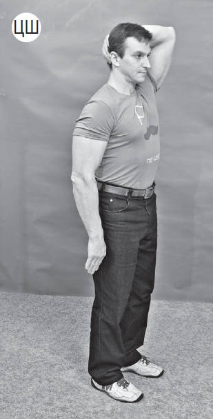 Иллюстрация к книге — Система "Живая осанка". Уникальный курс постановки осанки за 30 дней [Autogen_eBook_id199.jpg]